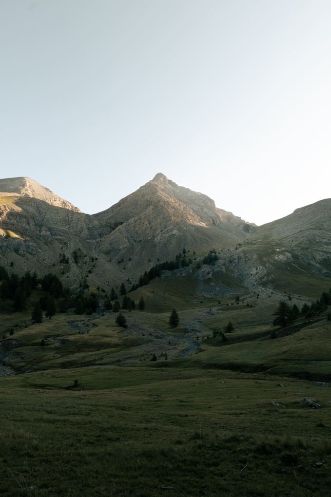 Image tag