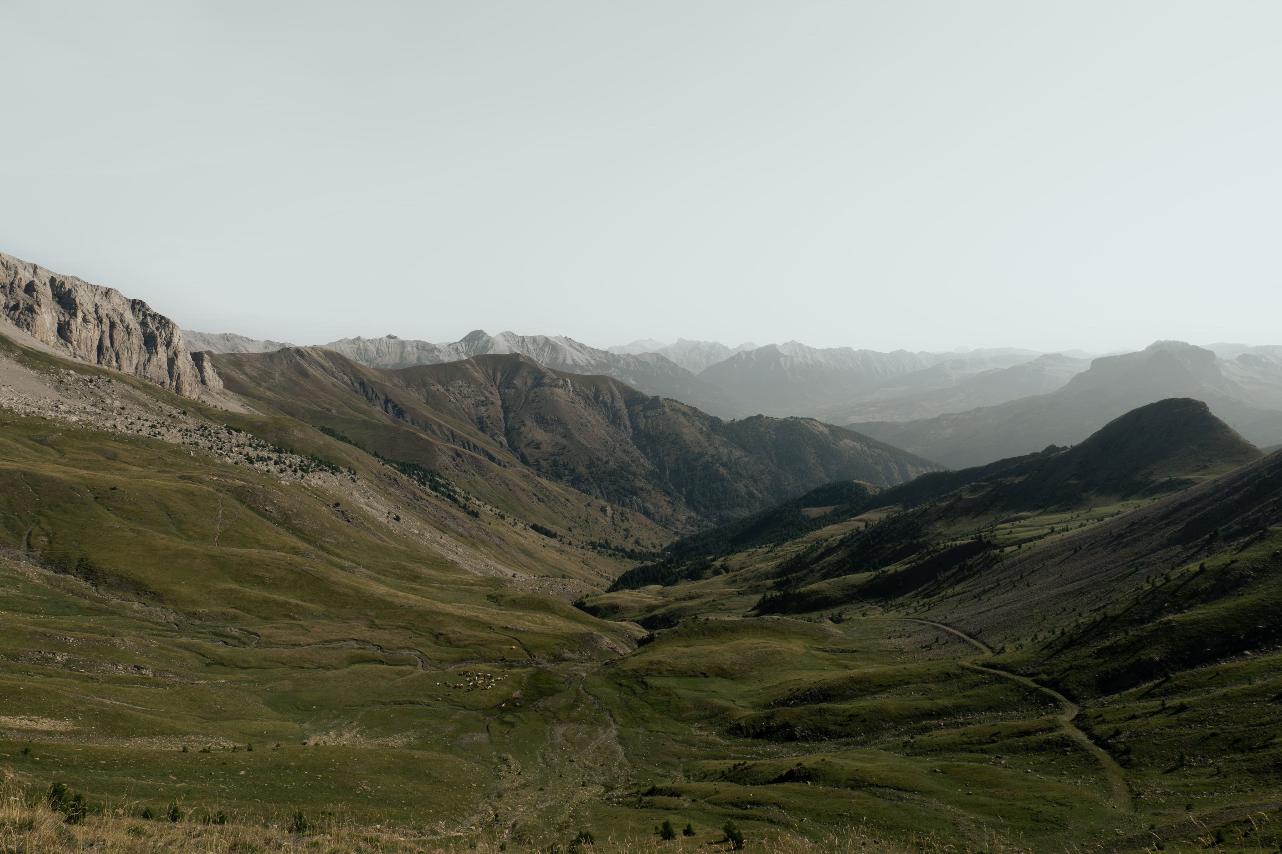 Basemap image