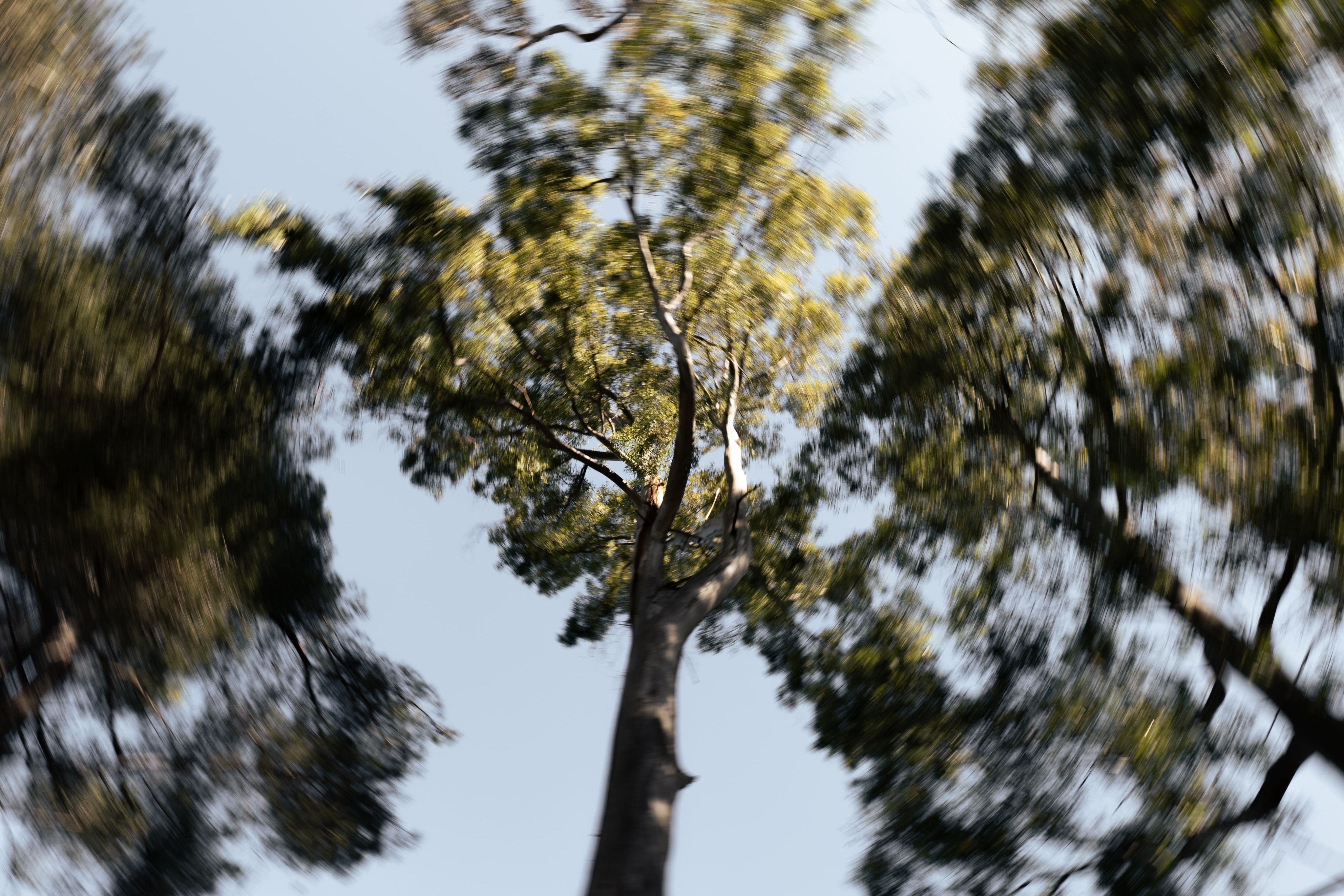 Basemap image